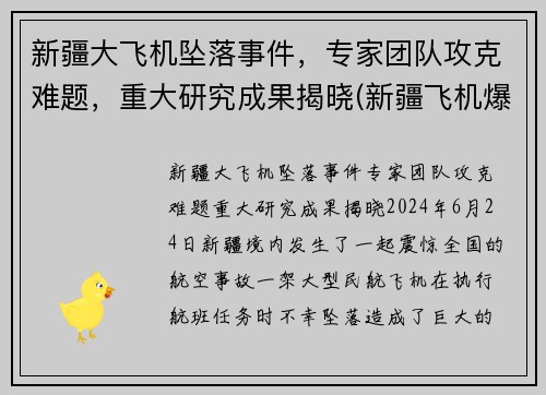 新疆大飞机坠落事件，专家团队攻克难题，重大研究成果揭晓(新疆飞机爆炸事件)